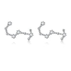 Kolczyki 12 Konstelacji Znaki Zodiaku Kobieta skorpion