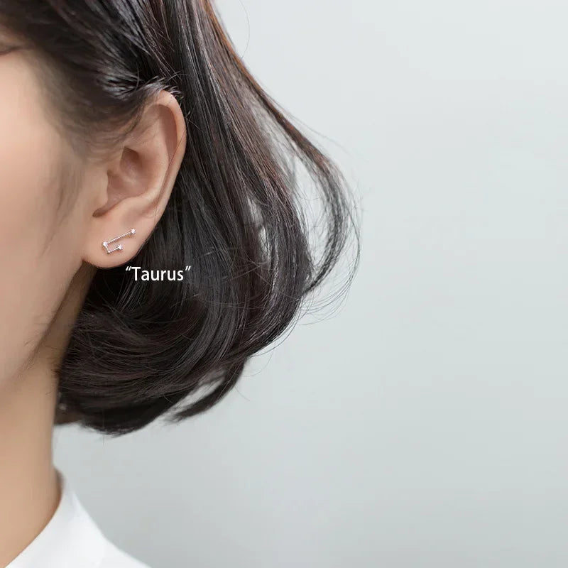 Kolczyki 12 Konstelacji Znaki Zodiaku Kobieta byk