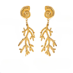 Kolczyki wiszące z muszlą i koralem